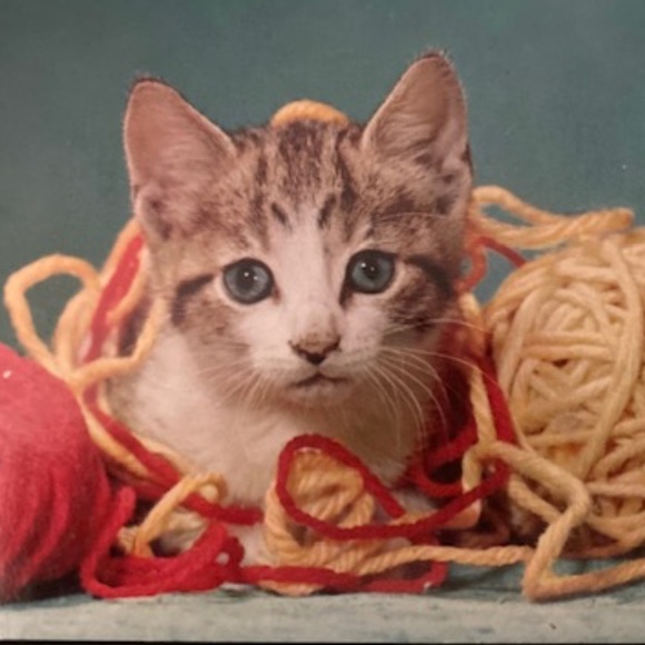 Vintage Sweater Knit Dress - Picture 10 of 10